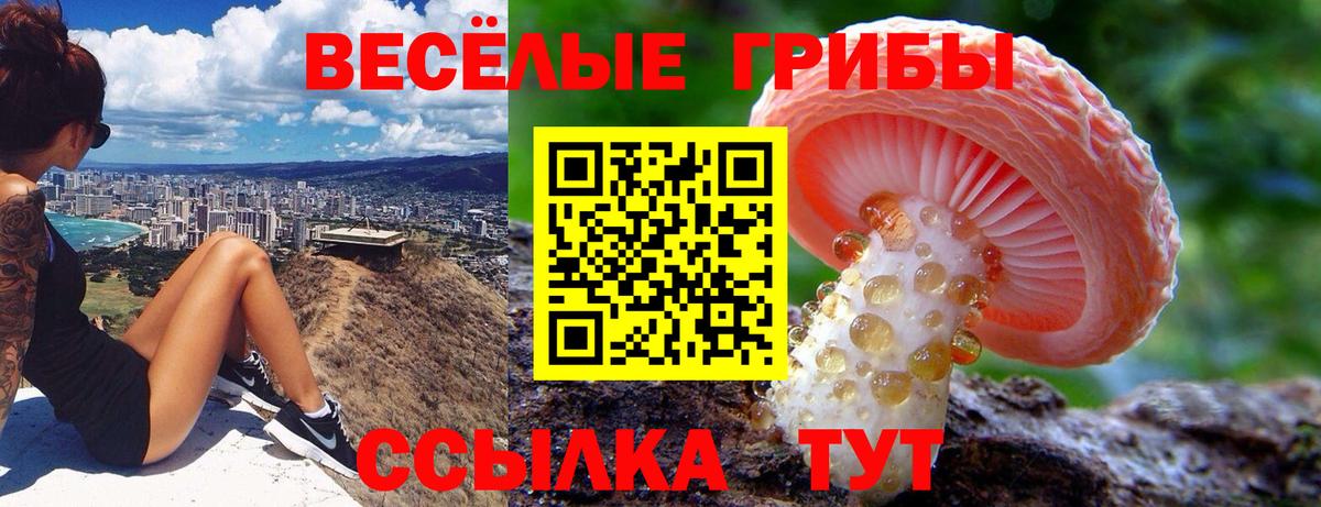 Псилоцибиновые грибы прущие грибы  Вход с VPN  Рузаевка  Псилоцибиновые грибы мицелий 
