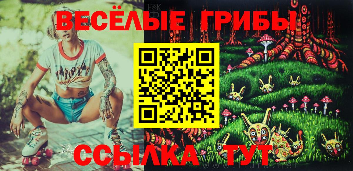Галлюциногенные грибы ЛСД Рузаевка